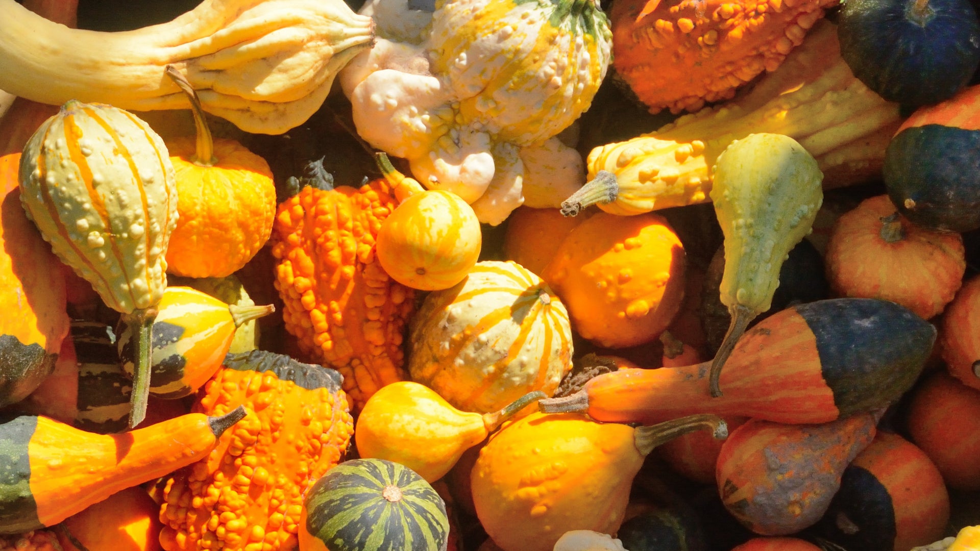 What Should I Eat? Seasonal Foods for Diabetes Care